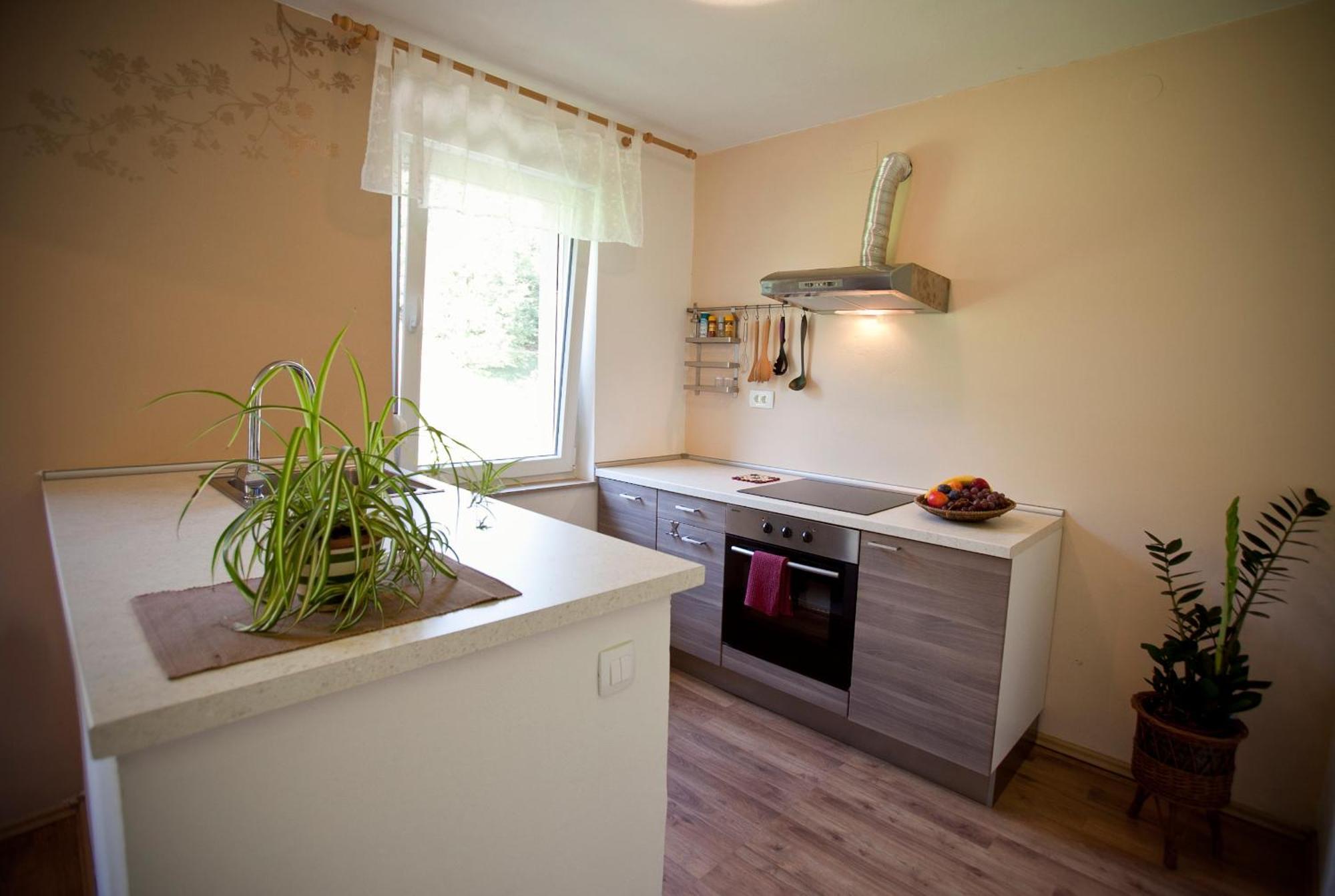 Apartments Soca Кобарид Экстерьер фото